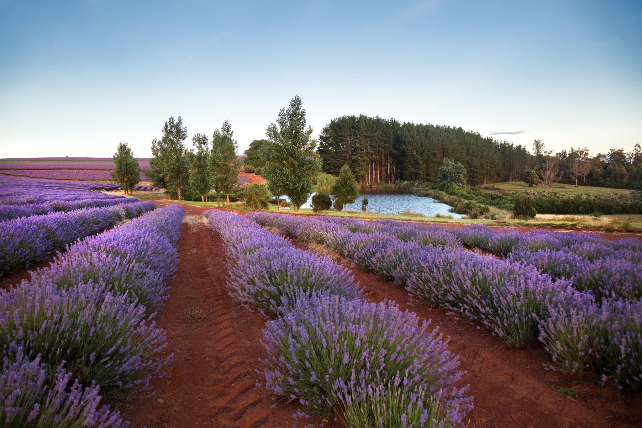 Tasmanian landscape and waterway